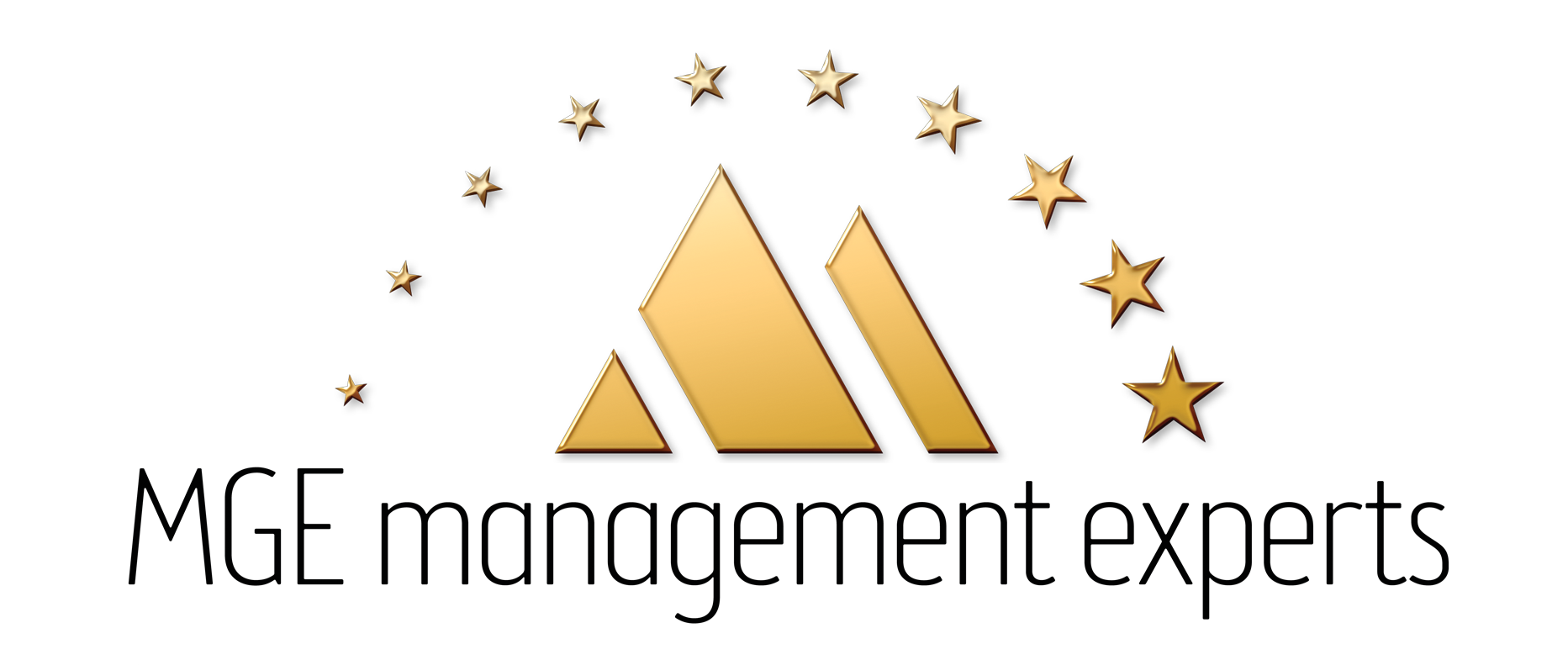 MGE Management Experts Logo