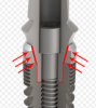 Fig 6. A cross-sectional illustration of a conical/hex connection illustrates the concept of preload. Although the screw head clamps the abutment down, the arrows indicate the areas of greatest stress and force that create the preload.