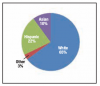 Fig 2. Collapsed race/ethnicity demographics of student respondents.