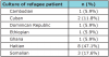 Table II. Patient Cultural Groups (n=17)