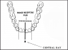 Figure 26 - Mandibular Central/Lateral Incisors