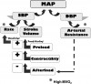 Figure 1.
Determinants of arterial blood pressure. The first step for improving blood pressure is to increase venous return (preload). When this proves unsuccessful, contractility must be improved. Arterial resistance and heart rate are rarely primary targets, because they produce a greater impact on myocardial oxygen requirements.