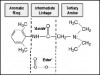 Figure 1. Local anesthetic structure.