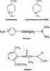 Figure 5. Molecular structures and allergenicity. Immunogenicity is attributable to medications having a phenyl ring with a para-amine substitution. This is found in sulfonamide antibiotics and compounds containing para-aminobenzoic acid (PABA) such as certain sunscreens and cosmetics. It is also found in methylparaben preservatives and ester local anesthetics such as procaine. Ester linkages (procaine) or side chains (articaine) are not immunogenic, nor is the sulfur atom of a thiophene ring (articaine). *Indicates immunogenic moiety.