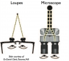 Fig 2. Convergent versus stereoscopic vision. Courtesy of Dr. David Clark, Tacoma, Washington.