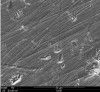 Fig 9. Surface of zirconia after sandblasting with glass, showing minimal surface texture.
