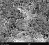 Fig 2. Lithium-disilicate microstructure.