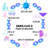 Fig 1. Chain of infection for severe acute respiratory syndrome coronavirus 2 (SARS-CoV-2). (Image courtesy of Katrina M. Sanders, RDH, BSDH, Med, RF.)