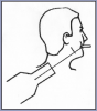 Figure 77 – Modified Oblique Posterior Mandibular Occlusal