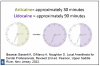 Fig 6. Contrast Elimination Half-Life of Articaine vs Lidocaine.
