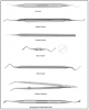 Figure 2a. Periodontal Instruments (courtesy of Hu-Friedy Mfg., Co., Chicago, IL, 773-975-6100) Curette, Sickle Scaler, Chisel Scaler, Hoe Scaler, File Scaler, Pocket Marker, Kirkland Peridontal Knife