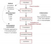 Figure 2  Biological hypothesis for periodontal disease affecting or causing cardiovascular disease.