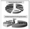 Figure 1. Cytochrome P450 families of enzymes. These pie graphs provide a conceptualization of the relative importance of the microsomal enzymes. The graph on the top reflects the relative quantities of enzymes that have been isolated, while the graph on the bottom reflects their relative importance for drug interactions. For example, while small in overall quantity, CYP2D6 enzymes have major significance for drug interactions.