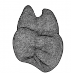 Featured CDE Home Image