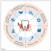 (2.) Key public health strategies to address the link between cancer and periodontitis.