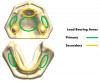(14.) Load bearing areas on the edentulous arches that affect denture survival during function.