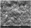 <strong>(2. AND 3.) </strong>FE-SEM images of the printed 3YSZ: Green body and sintered
body after binder removal, both at 30,000× magnification.