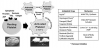 Fig 2. Platelet aggregation and actions of antiplatelet drugs.1,3 Resting platelets have specific receptors for ligands that trigger activation: epinephrine, thrombin, serotonin, collagen, adenosine diphosphate (ADP), and thromboxane A2 (TXA2). When activated, intracellular calcium levels elevate and the platelet expresses glycoprotein (GP) IIb/IIIa receptors that bind to strands of fibrinogen. This results in platelet aggregation. The various antiplatelet drugs inhibit aggregation by targeting specific aspects of this process.