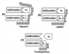 Fig 4. Actions of heparin and derivatives.3 Heparin and its derivatives impart their anticoagulant effect indirectly by facilitating the interaction of antithrombin with activated factors, primarily Xa and thrombin (IIa). (A) Heparin is a large polysaccharide capable of surrounding and potentiating antithrombin against both factors Xa and thrombin (IIa). (B) The low-molecular-weight heparins (LMWH) are smaller in size and are more active in potentiating antithrombin against factor Xa than thrombin (IIa). (C) Fondaparinux is a synthetic pentasaccharide that only potentiates antithrombin activity against factor Xa.