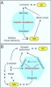 Figure 4 The underlying links between AD and T2D. Source: Han W, Cai L. Linking type 2 diabetes and Alzheimer’s disease. PNAS. 2010;107(15):6557-6558. Published ahead of print Apr. 12, 2010, doi:10.1073/pnas.1002555107.