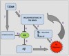 Figure 3 T2DM can lead to the induction of insulin resistance in the brain. Originally published in: Aulston BD, Odero GL, Aboud Z, Glazner GW. About  Copyright 2013 Brent D. Aulston, Gary L. Odero, Zaid Aboud, Gordon W. Glazner. Alzheimer’s disease and diabetes. Under CC BY 3.0 license. Available at: http://dx.doi.org/10.5772/54913.