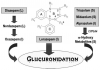 Figure 3. Biotransformation of various benzodiazepines. Parent drugs and their active metabolites vary in their elimination half-lives: L, >24 hours; I, 6 to 24 hours; and S, <6 hours (derived from Mihic and Harris<sup>7</sup>).