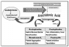 Figure 1. Synthesis and function of prostanoids. Perturbation of cell membranes can be mediated by diverse endogenous and exogenous stimuli. This triggers activity of phospholipase A2, releasing arachidonic acid from the phospholipids making up the membrane. Two families of cyclooxygenases (COX-1 and COX-2) convert this fatty acid to a variety of so-called prostanoids that are unique to the particular cell or tissue and include prostaglandins, thromboxanes, and prostacyclin. Each of these prostanoids has specific physiological functions, some of which are listed in the table within this figure. Most nonsteroidal anti-inflammatory drugs (NSAIDs) are nonselective and inhibit both COX-1 and COX-2 families. Celecoxib (Celebrex) is representative of agents that selectively inhibit COX-2; it reduces pain and inflammation with little or no influence on gastric mucosa. However, this selective inhibition may promote greater synthesis of prostanoids derived from COX-1, including thromboxane-mediated effects leading to possible thrombotic events (eg, myocardial infarction, stroke). Arachidonic acid is also a substrate for lipoxygenase that catalyzes the formation of leukotrienes known for their anaphylactoid effects, including bronchospasm and upper airway edema. As NSAIDs inhibit the activity of cyclooxygenases, a greater portion of arachidonic acid can be converted to leukotrienes by lipoxygenase.This may not be tolerated by patients with atopy because they experience pseudoallergic syndromes.