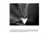 Fig. 20 There is a 20° deviation between the long axis of the implant and the access hole. Because a screw-retained crown was desired, a bone-level implant with an angled abutment was planned. The merged data from the CBCT and the CAD/CAM allowed the implant to be planned and executed in a predictable. efficient way.
