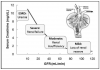 Staging of chronic renal failure. Staging of renal failure is based on the decline in glomerular filtration rate (GFR). As function declines, serum levels of creatinine rise;t his is termed azotemia.