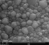 Fig 3. Scanning electron micrograph of a zirconia surface showing individual grains.