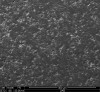 Fig 8. Surface of air-abraded zirconia showing microscopic texture for bonding.