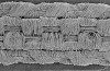 Figure 1a  Leno-weave polyethylene fibers at 25x magnification.
