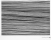 Figure 2a  Unidirectional glass fibers at 150x magnification.