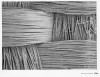 Figure 2c  Braided glass fibers at 150x magnification.