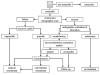 Figure 6  Treatment planning for failed endodontic therapy. (Modified from Friedman and Stabholz33).