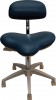 Figure 1  An effective lumbar support need only be 8 inches or so in height to be effective (image courtesy of Crown Seating). Prominent lumbar support on a larger backrest (image courtesy of Orascoptic).