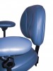 Figure 2  An effective lumbar support need only be 8 inches or so in height to be effective (image courtesy of Crown Seating). Prominent lumbar support on a larger backrest (image courtesy of Orascoptic).